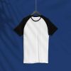 Mens Lycra Raglan T-Shirt – Regular Fit, Breathable Cotton Blend for Sports and Casual Wear Manufacturers  in Delhi