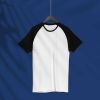 Organic Cotton Raglan T-Shirt – Soft, Eco-Friendly & Stylish for Casual Wear Manufacturers  in Delhi